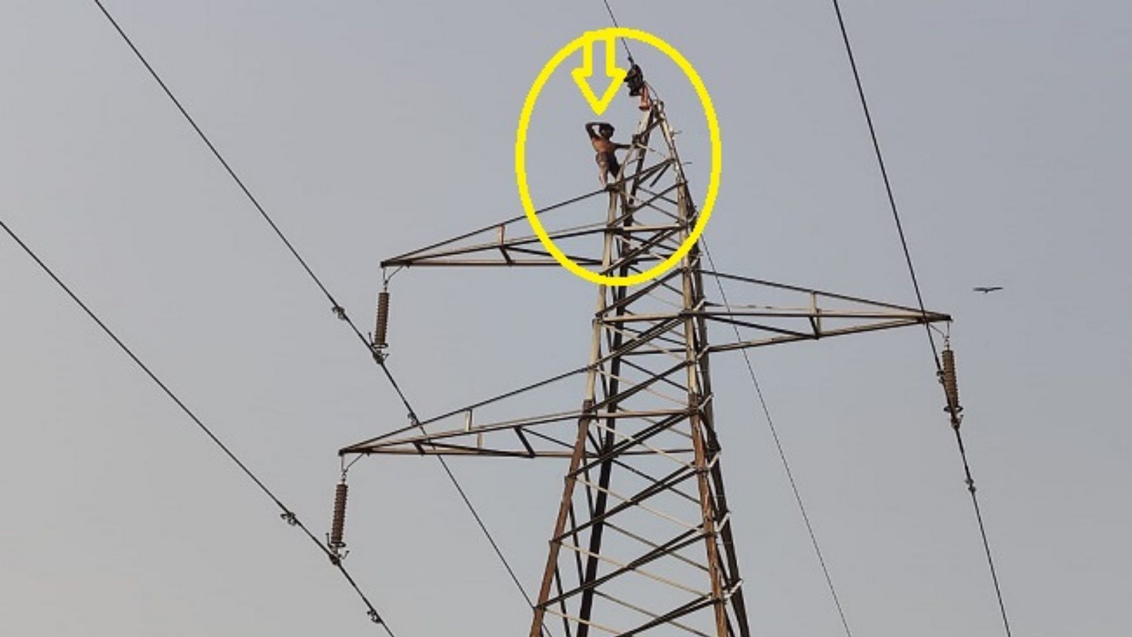 Youth climbing power transmission tower for mobile and sweets