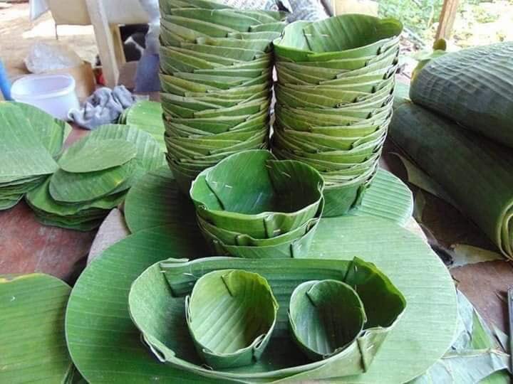 banana leaf plates