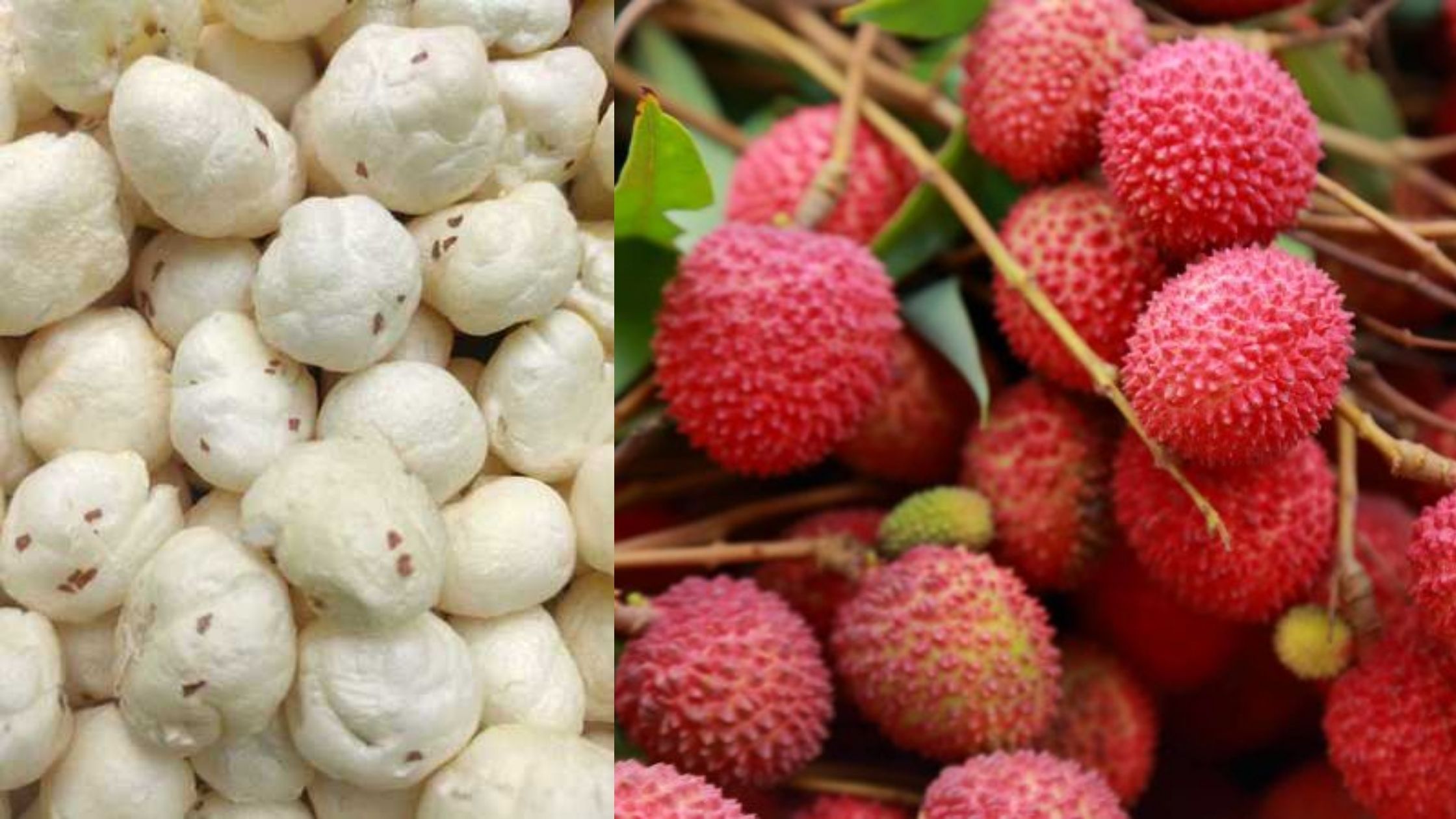 network of food parks of Makhana and Litchi will be formed in Bihar