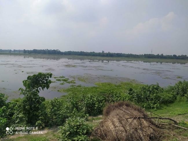 Seepage has become a curse for farmers for years