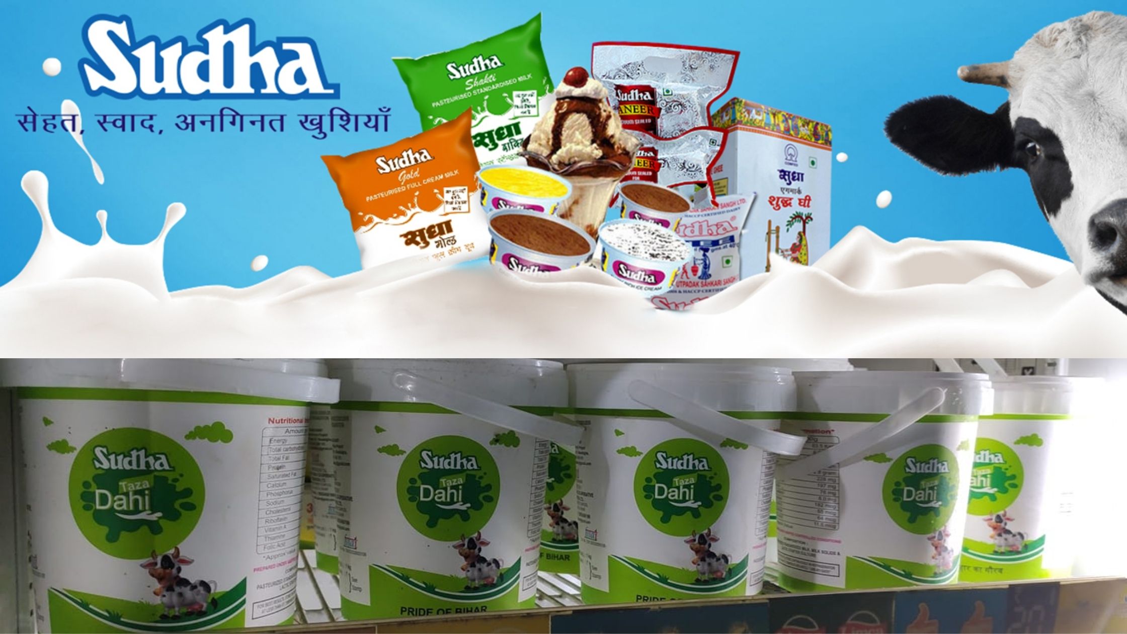 Sudha Dairy arranged milk and curd on Makar Sankranti in Bihar