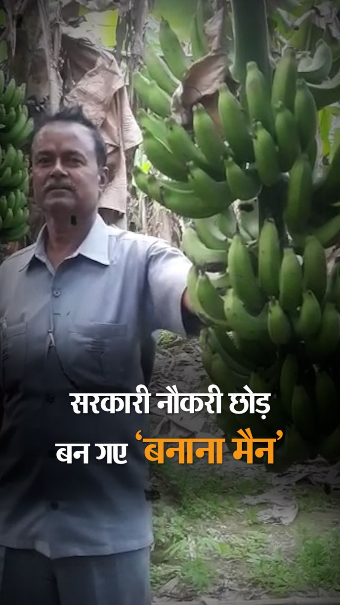 Banana Man of Bihar is leaving government job and doing banana farming