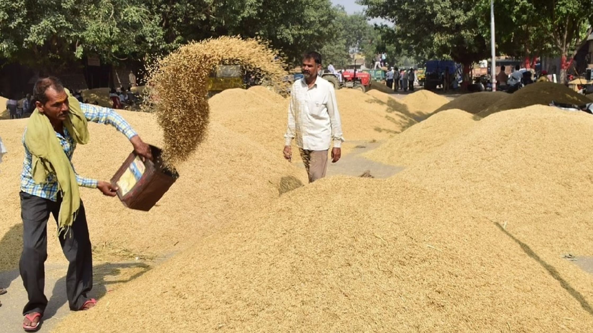Bihar broke the previous record in paddy procurement