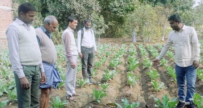 Farmers are being trained for cultivation of broccoli