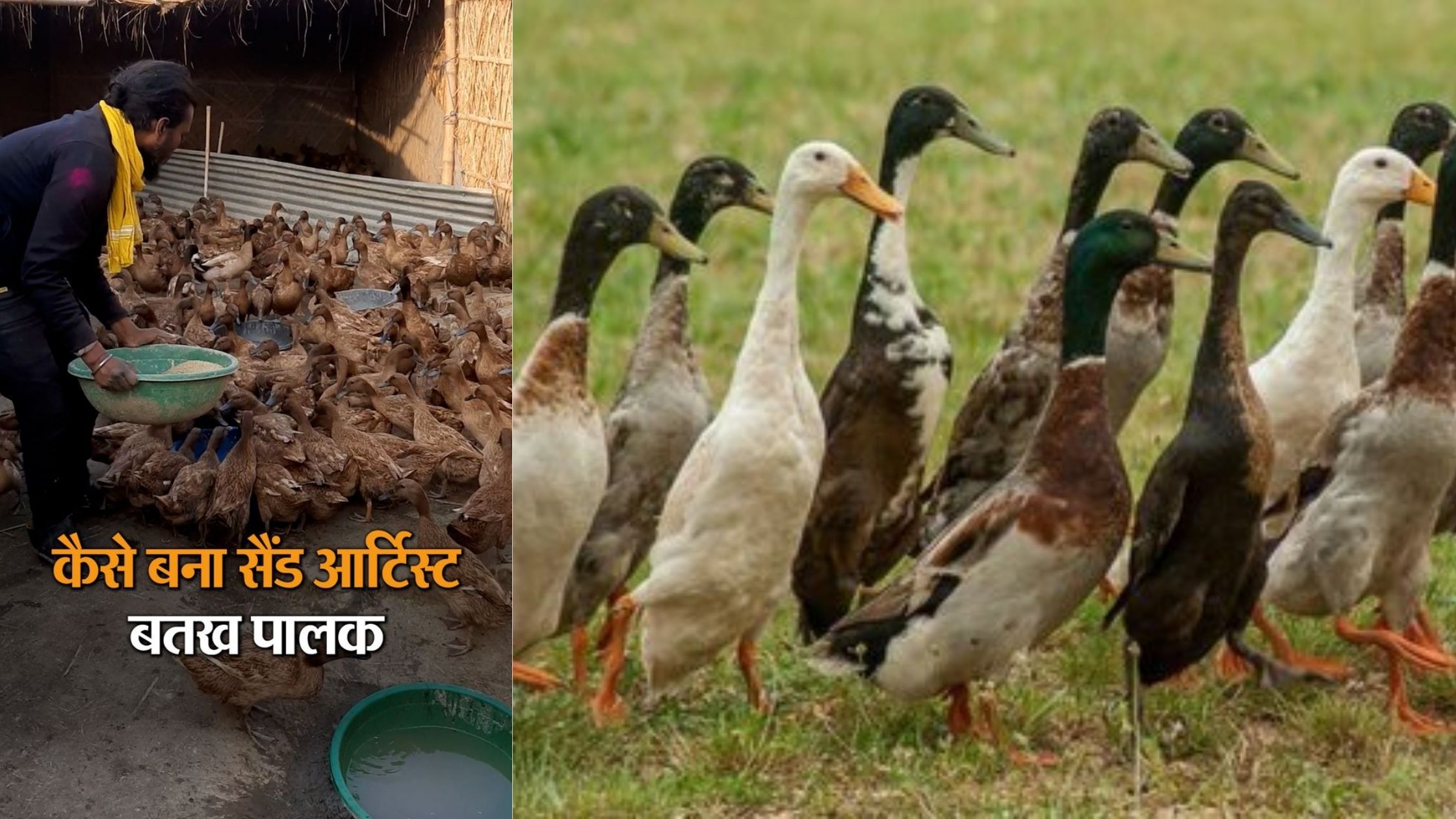 Story of becoming a duck keeper from sand artist of Bihar