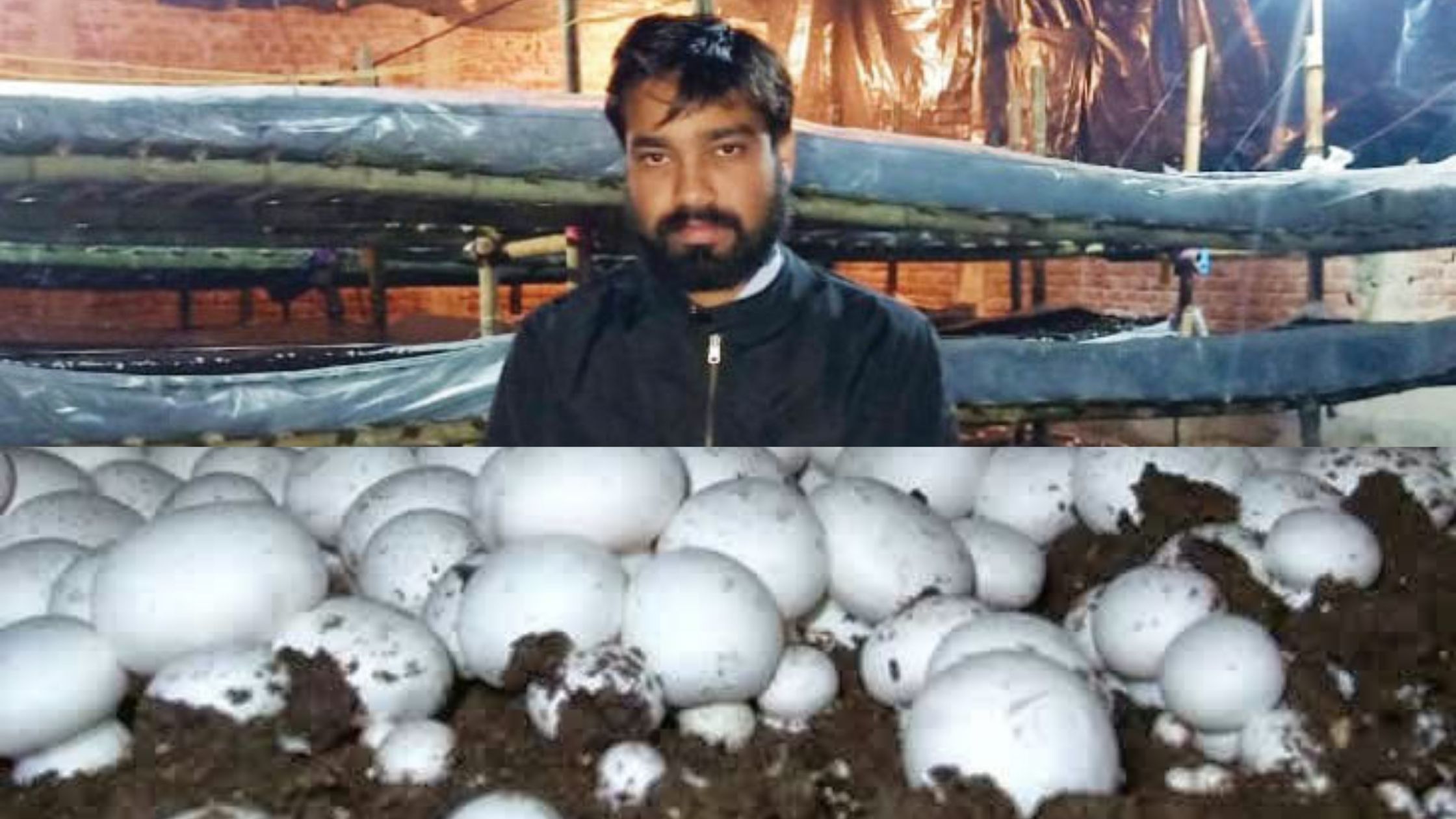 Surya Prakash is doing mushroom cultivation leaving UPSC preparation