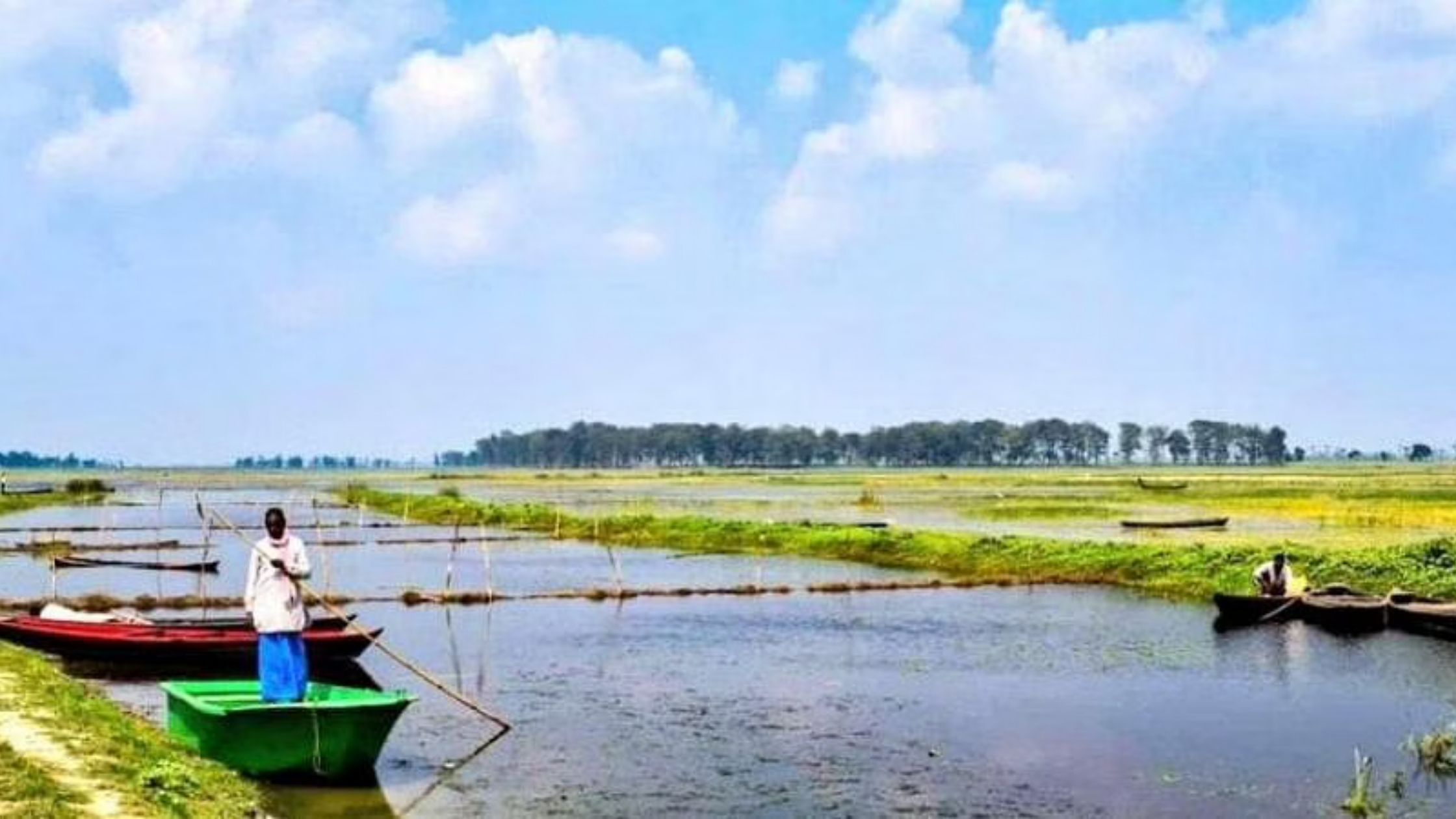 Wetlands to be developed in Bihar