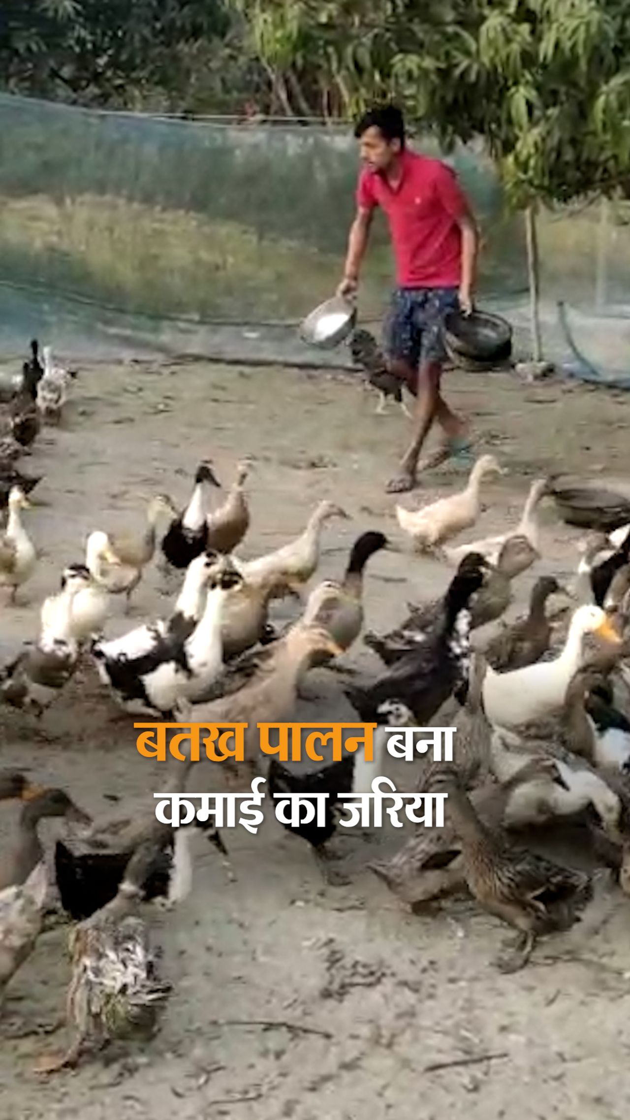 Bihari student Rahul Mishra earning lakhs from duck farming