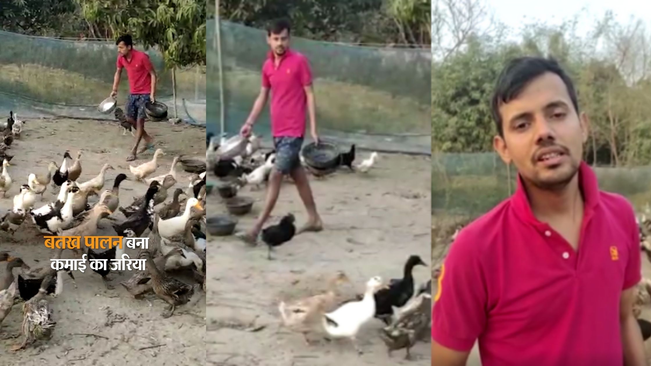 Bihari students studying in BA are earning lakhs from duck rearing