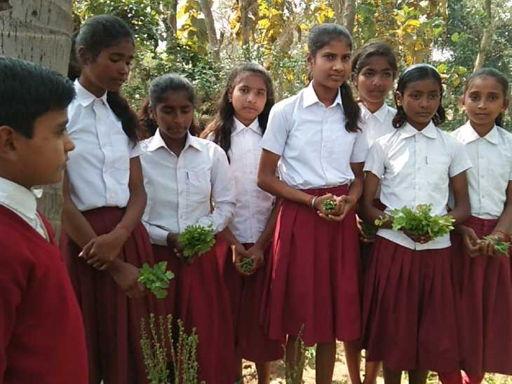 Children are growing 14 types of vegetables in Sakhikuda Middle School