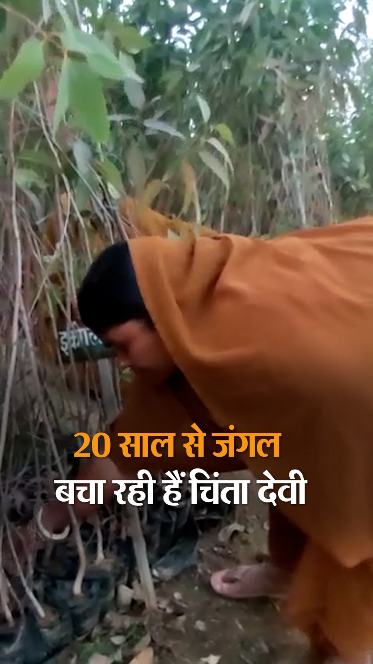 Chinta Devi works to protect the environment and save wildlife
