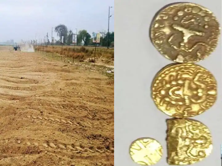 Gold coins are being found on digging the land in Baraon village