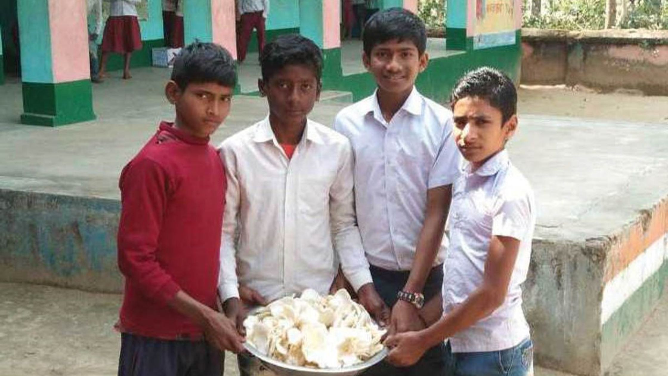 Mushroom cultivation in Bihar school