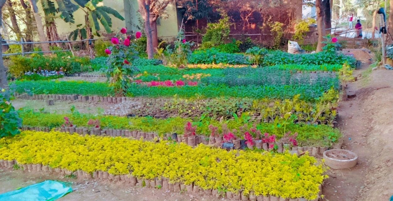 Ram Prasad Gupta and Mantu have identified their village as a nursery village with exotic flowers