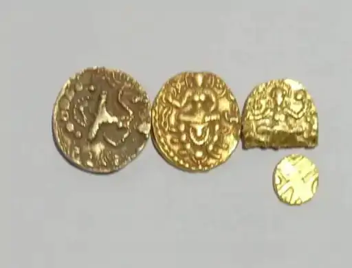 Three gold coins have been found from the field
