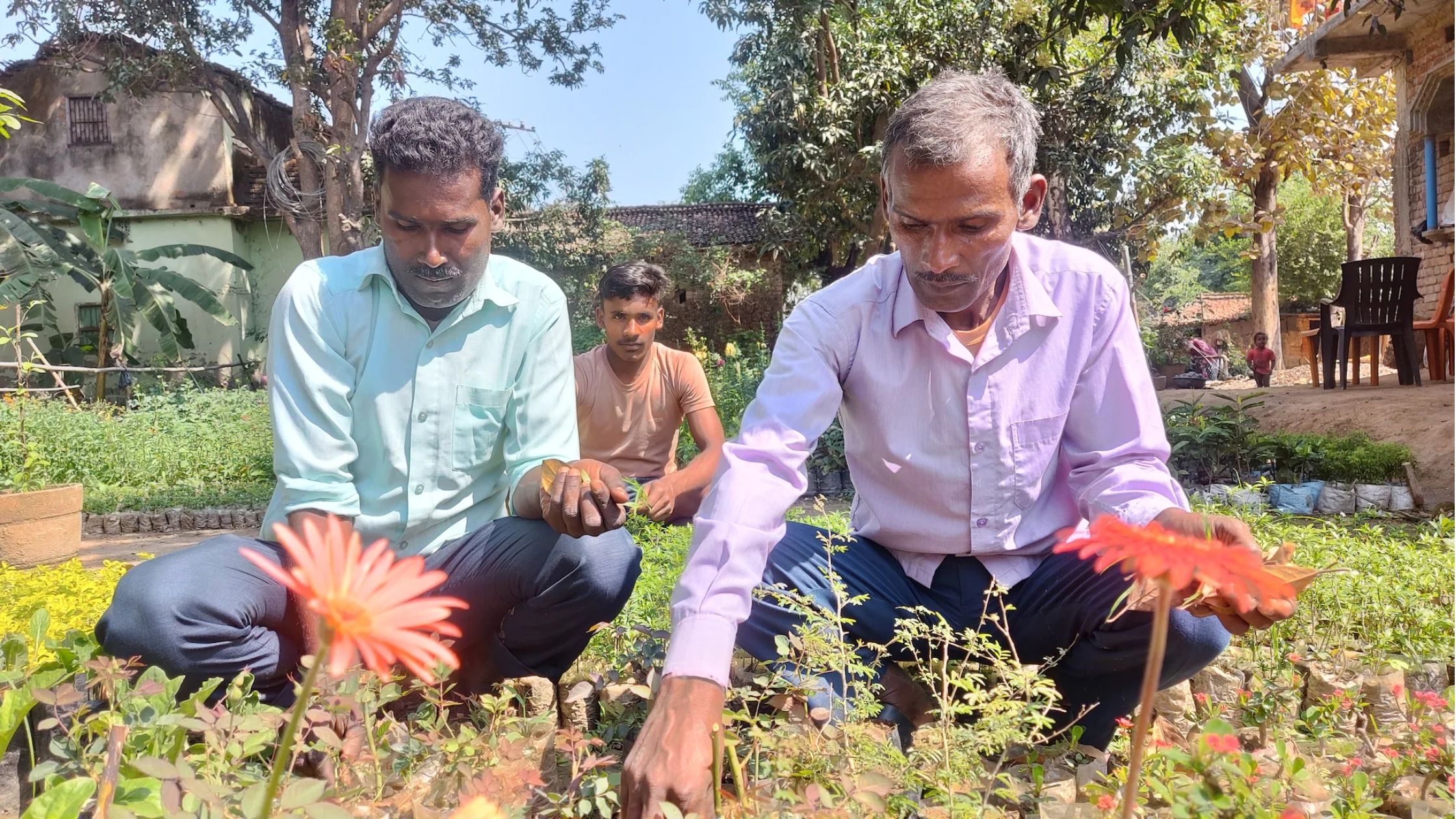 Two brothers set up a nursery of exotic flowers