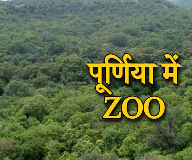 Zoo construction by developing Hansi forest spread over 26 hectares