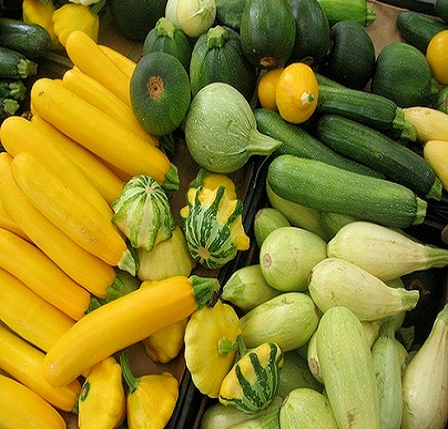 Zucchini beneficial for the body