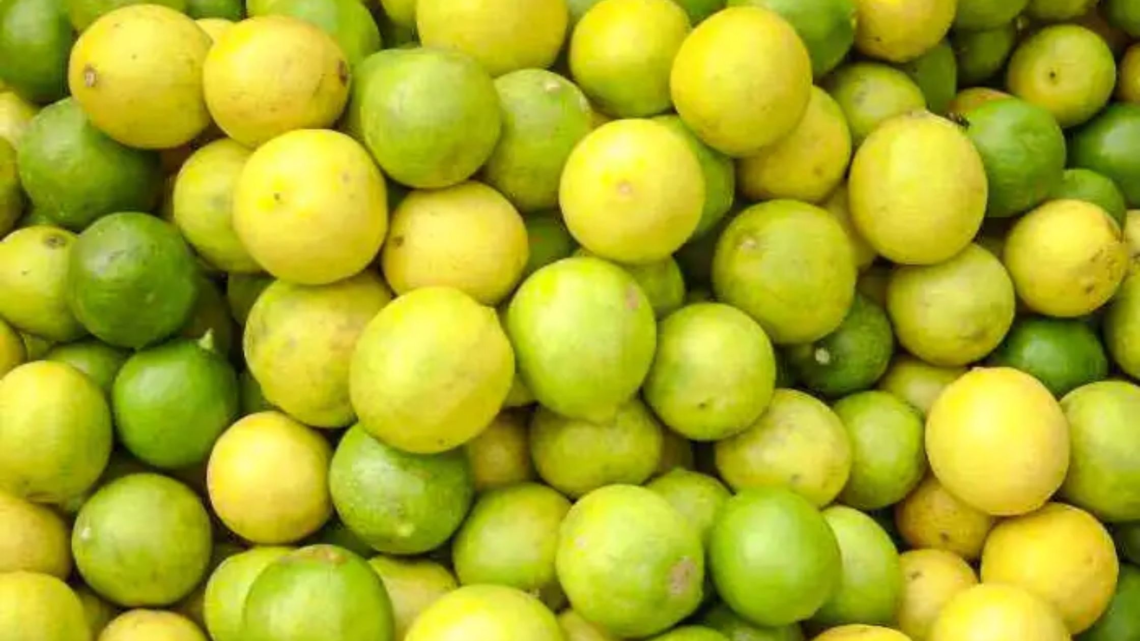 Lemon is more expensive than apple pomegranate grapefruit and banana