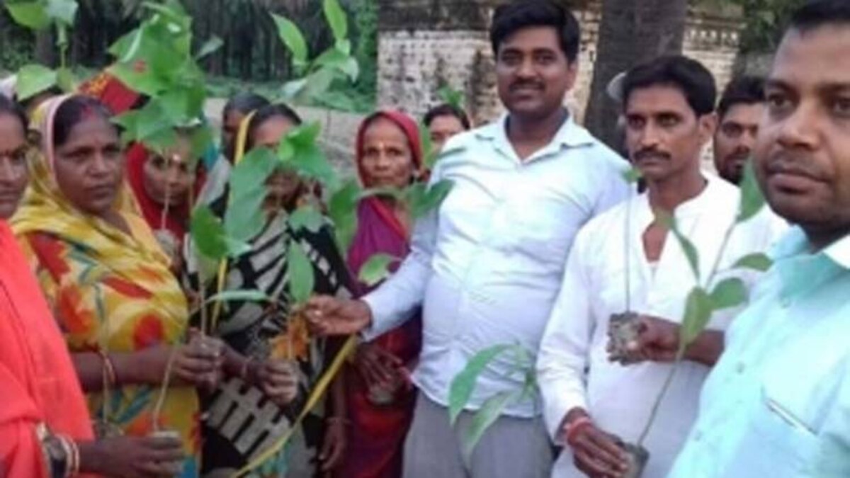 Sushil Kumar started a campaign for the last many years to plant Champa plants.