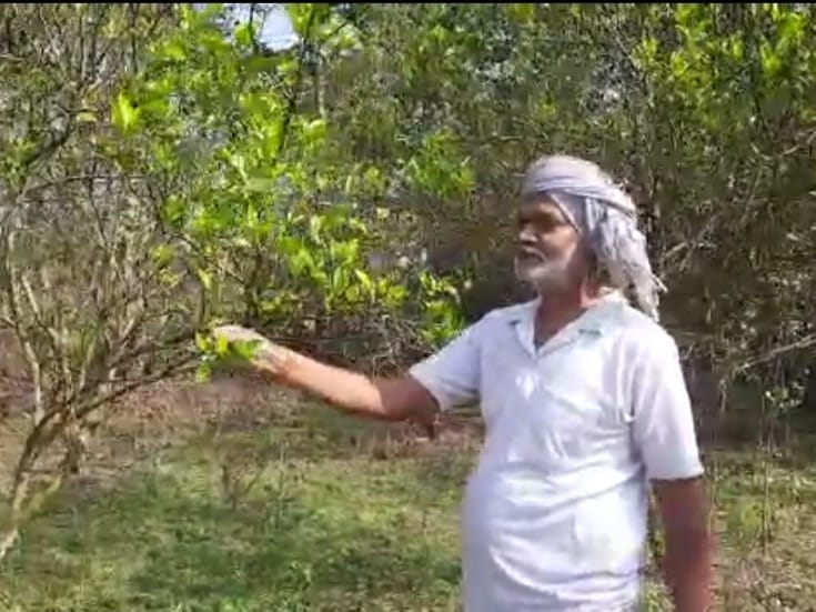 Farmer Narvadeshwar Giri is associated with NABARD organization