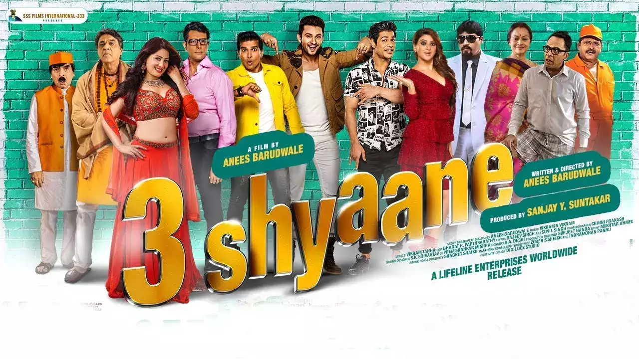 Movie - 3 Sayane is directed by Anish Baroodwala.