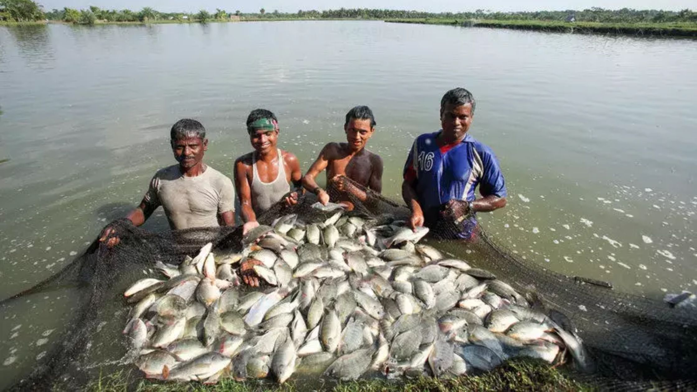 Bihar reached fourth place in fish production in the country