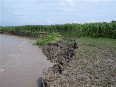 No repair of embankment on the banks of goat river
