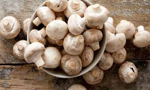 Bihar has become the number one mushroom producing state of the country