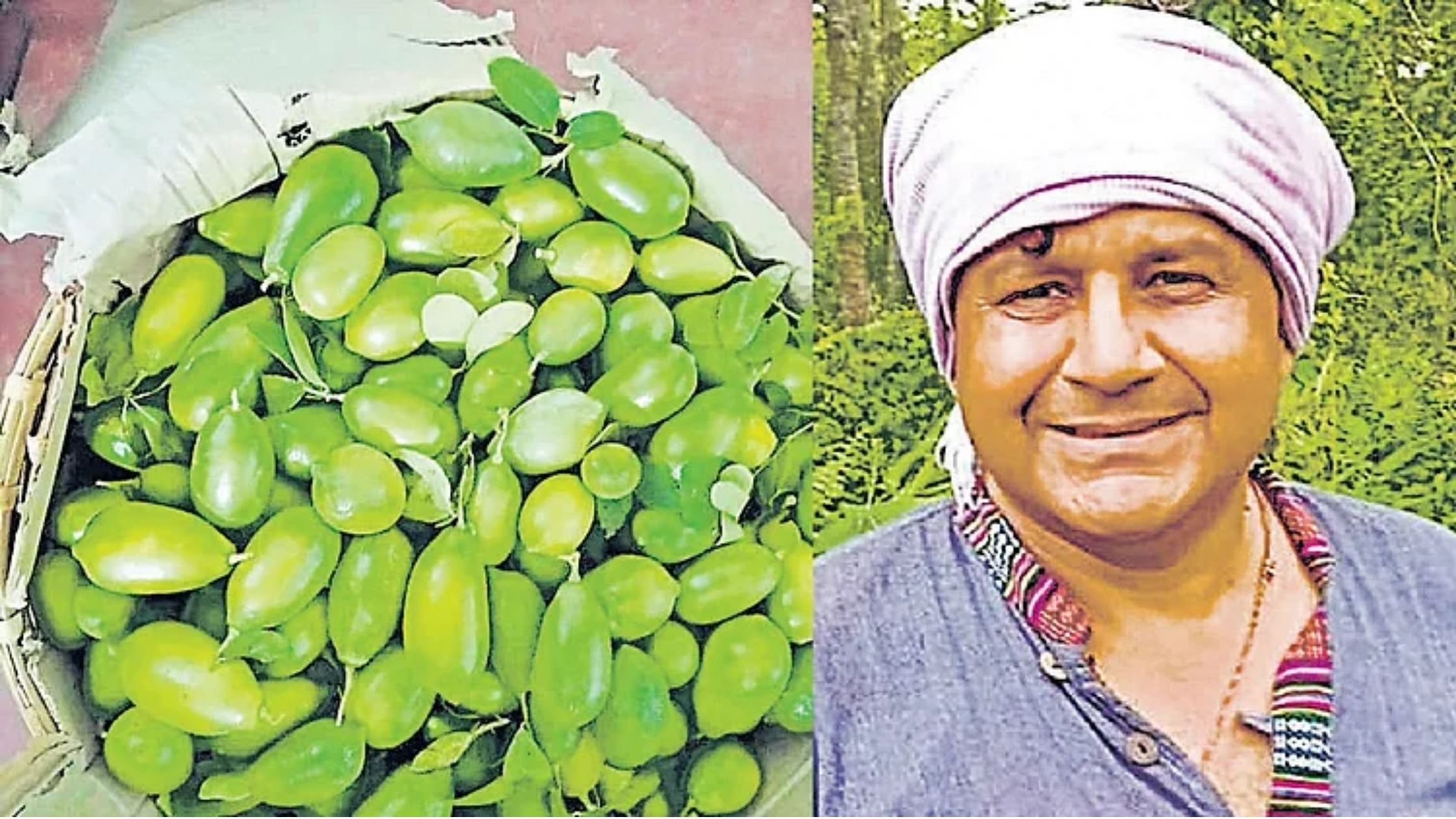 Gandhraj Lemon Grown In Purnia Village Will Prevent Cancer