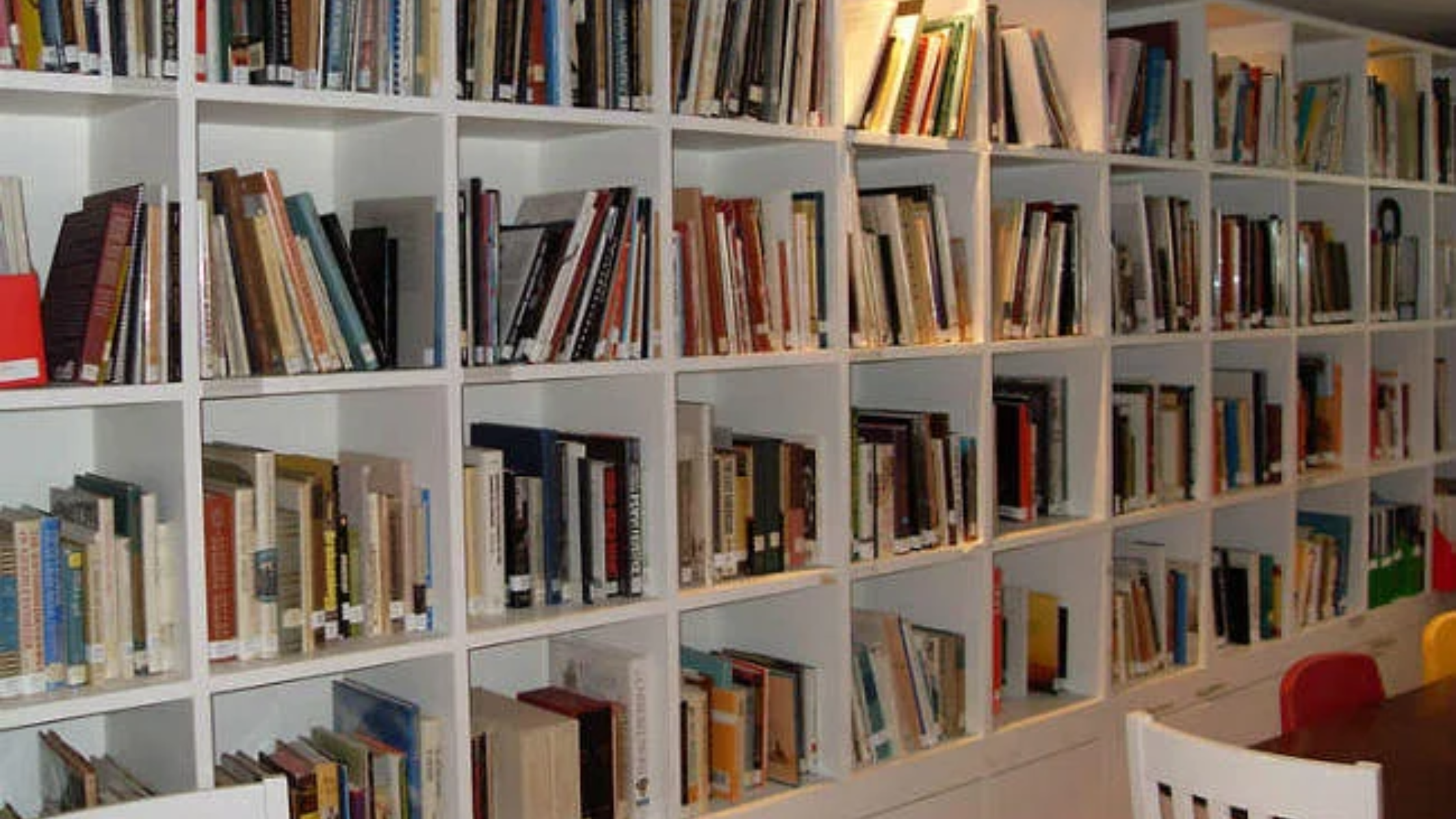 Read Books Of The Library Of Bihar Museum Even Sitting At Home
