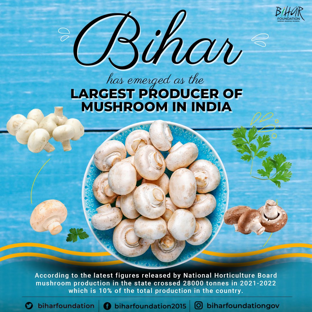 bihar largest mushroom producer state of india