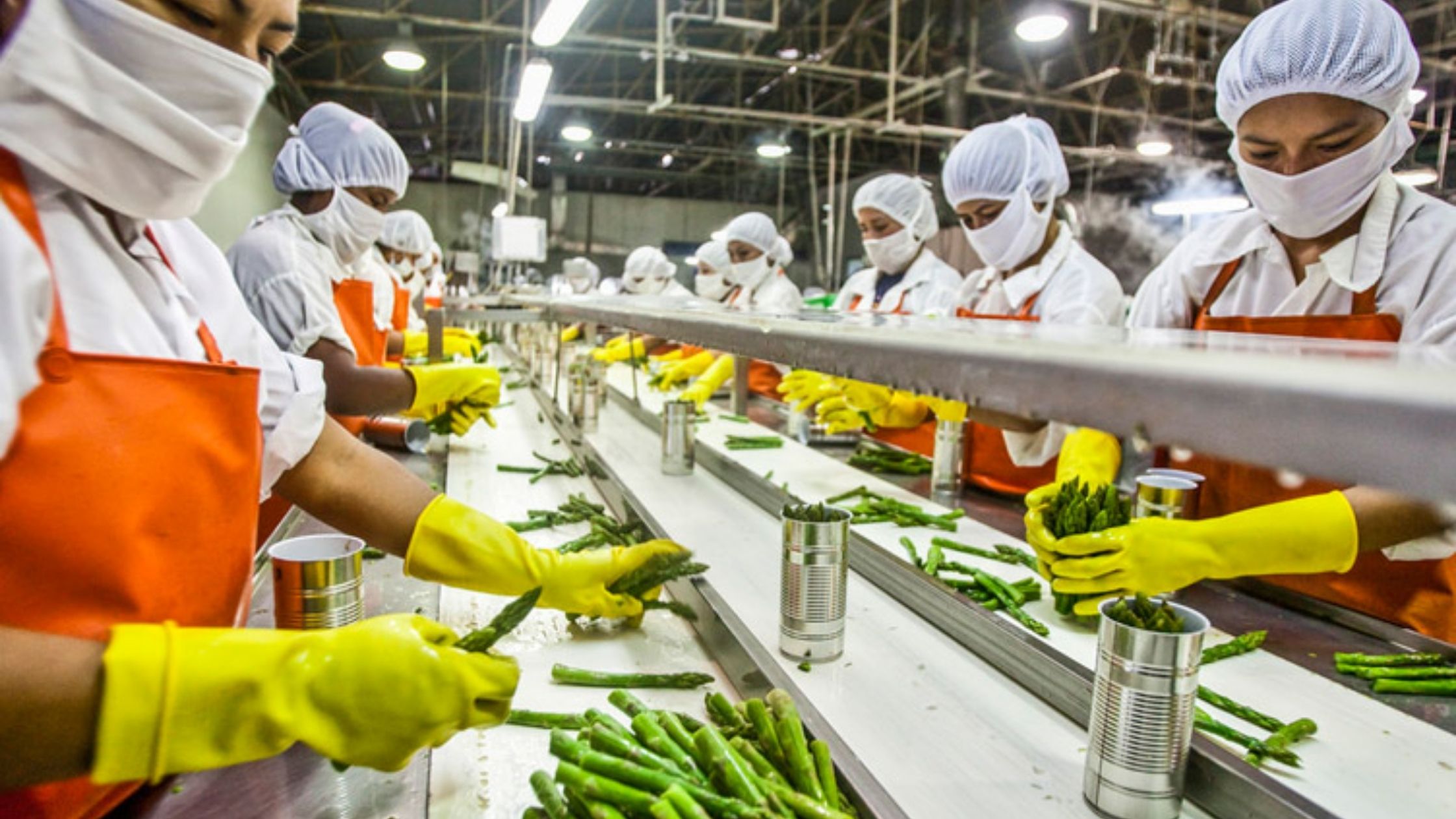 food processing institute will open in bihar