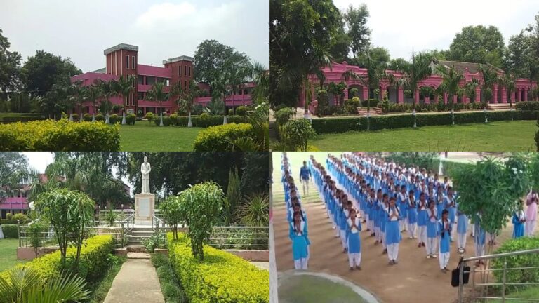 यह कोई विदेशी यूनिवर्सिटी नहीं बिहार का सरकारी स्कूल है जनाब, इन तस्वीरों में देखिए खूबसूरती