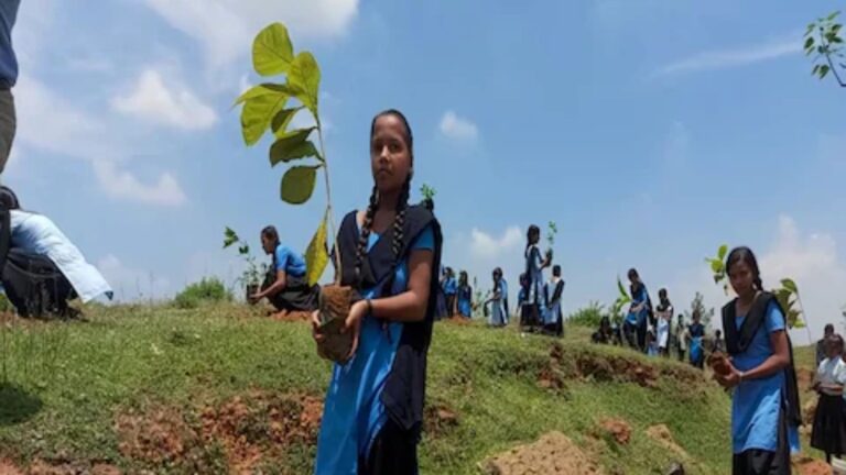 अच्छी खबर: बिहार की स्कूली छात्राओं ने एक दिन में ही लगा डाले एक लाख पौधे, खुद करेंगी देखभाल