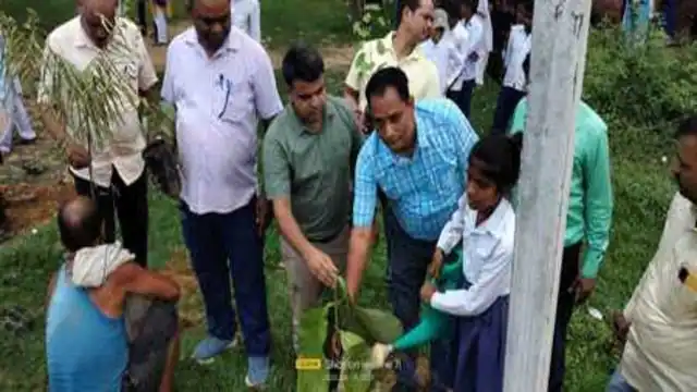 Students studying in all government schools of the district planted saplings together