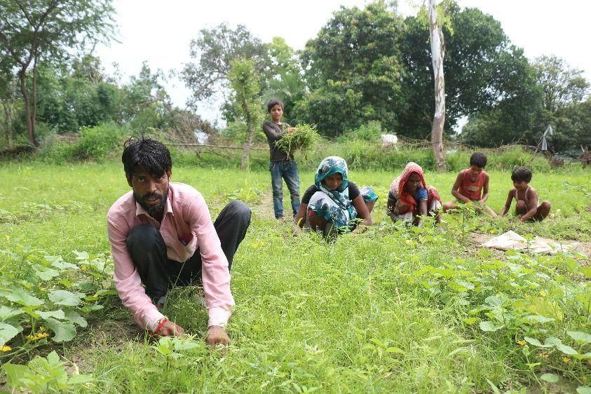 Training to at least 1.50 lakh farmers every year