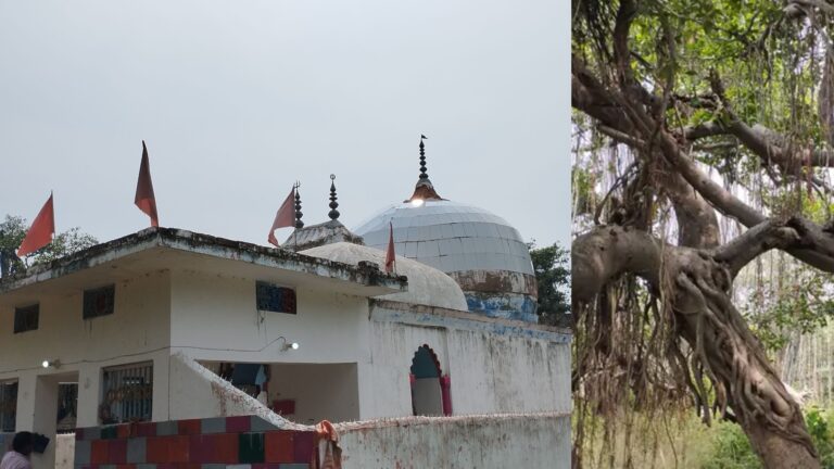 बिहार के इस गाँव में भाई बहन का अनोखा मंदिर, 500 साल पुराना है इसका इतिहास