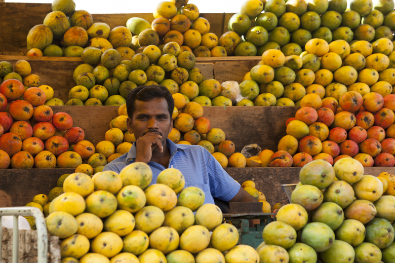 Mangoes in the markets of Patna even in September