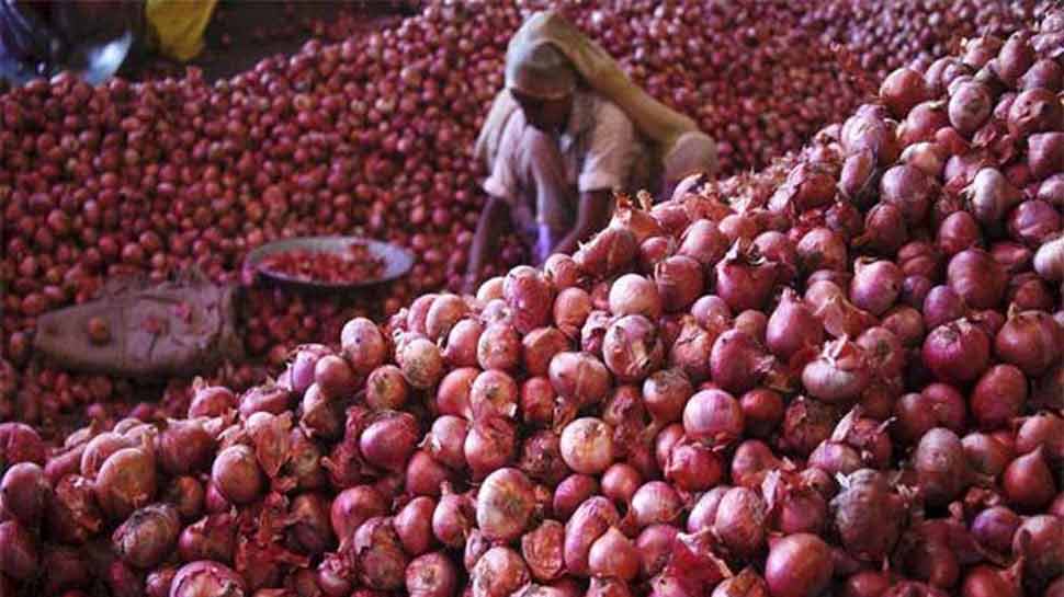 Subsidy will be given on onion cultivation