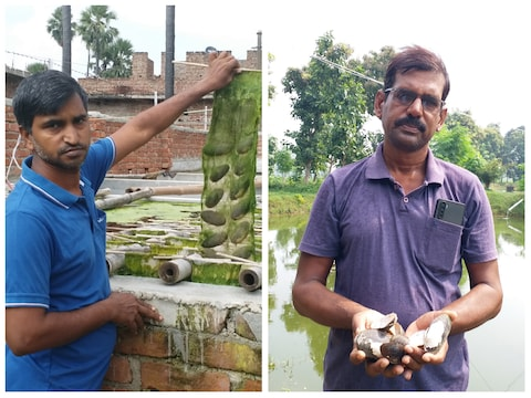 Ajay Mehta and Day Kumar, residents of Gaya district, are earning three to four lakh rupees annually by doing pearl farming