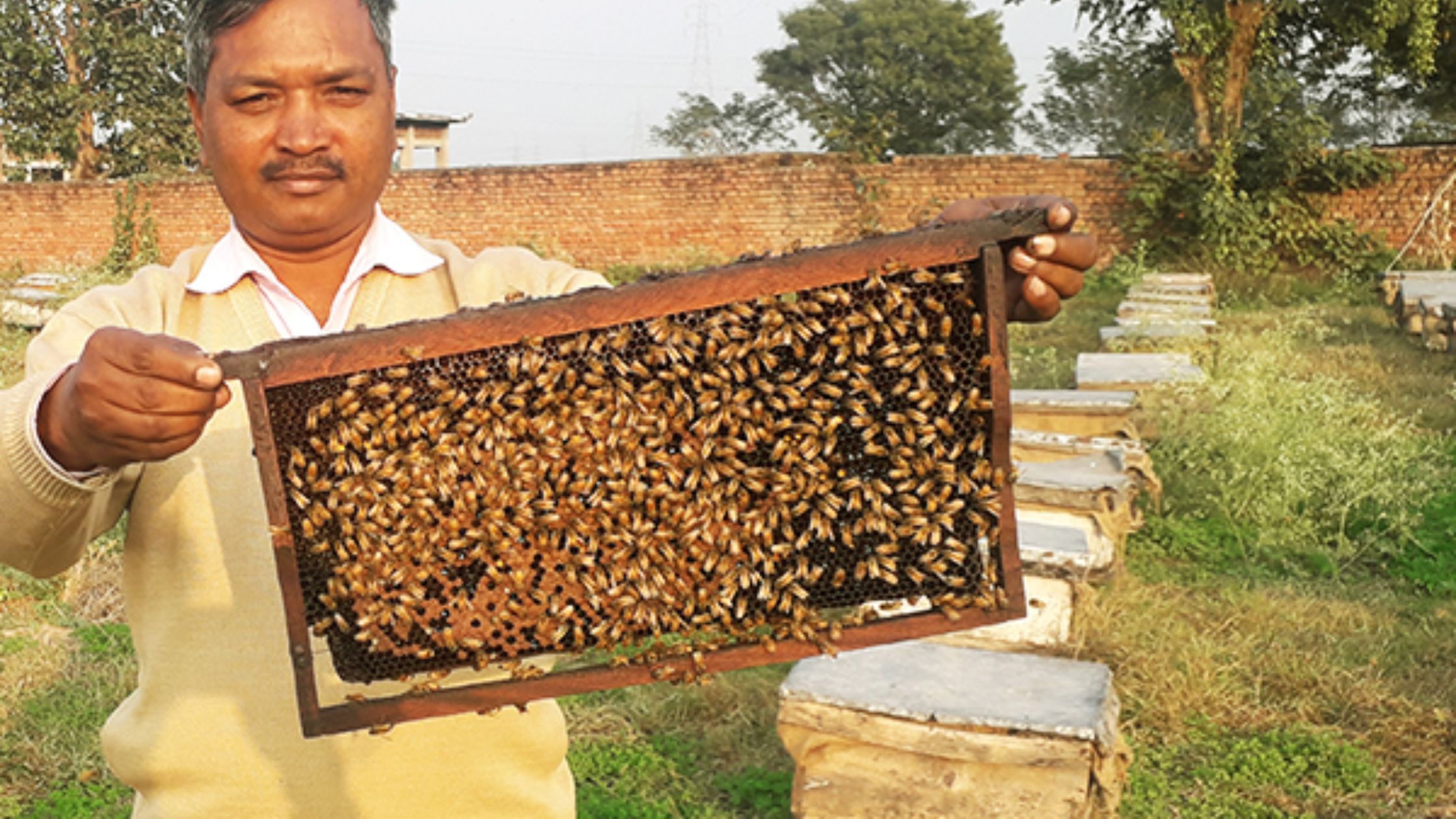 Earning 10 lakhs from beekeeping