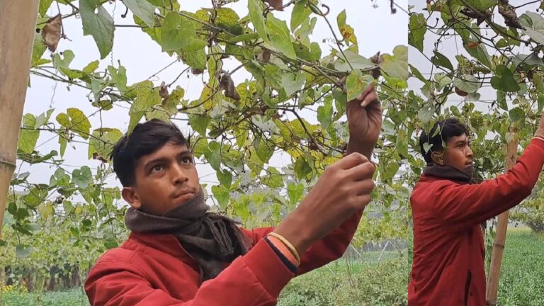 बिहार के इस युवा किसान को मिलने जा रहा है राष्ट्रीय पुरस्कार, जाने इस युवा का कामयाबी का राज