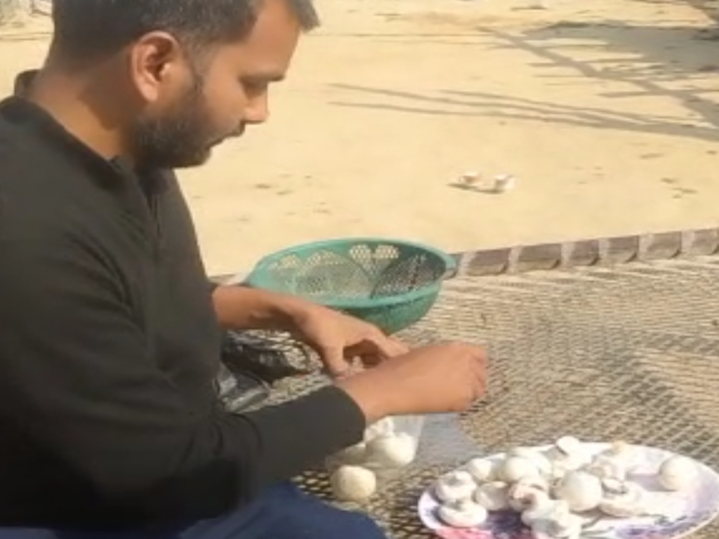 Ranjan Kumar has set an example in Banka district by producing mushrooms